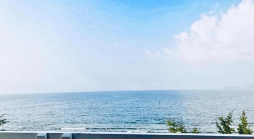 鲸鱼海景酒店 岘港 外观 照片